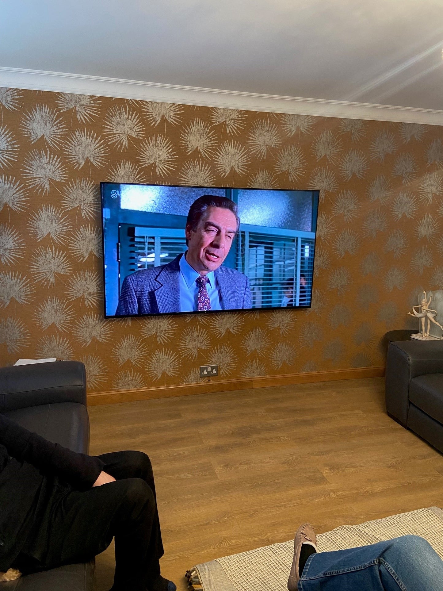 Professional Wall Mount Installation